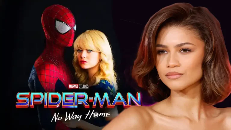 In Spider-Man: No Way Home, Zendaya discusses the Gwen Stacy tribute In Spider-Man: No Way Home, Zendaya discusses the Gwen Stacy tribute