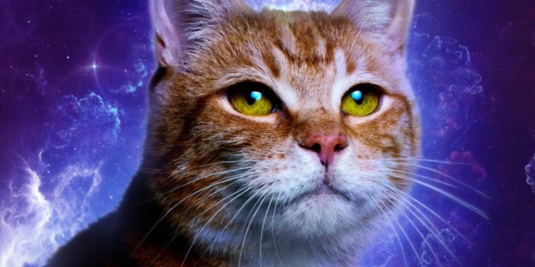Everyone’s favourite Flerken is included in The Marvels character posters.